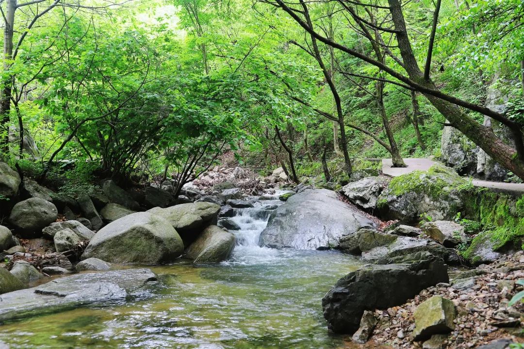 雨后老君山丨山青水碧,简直不要太好看!