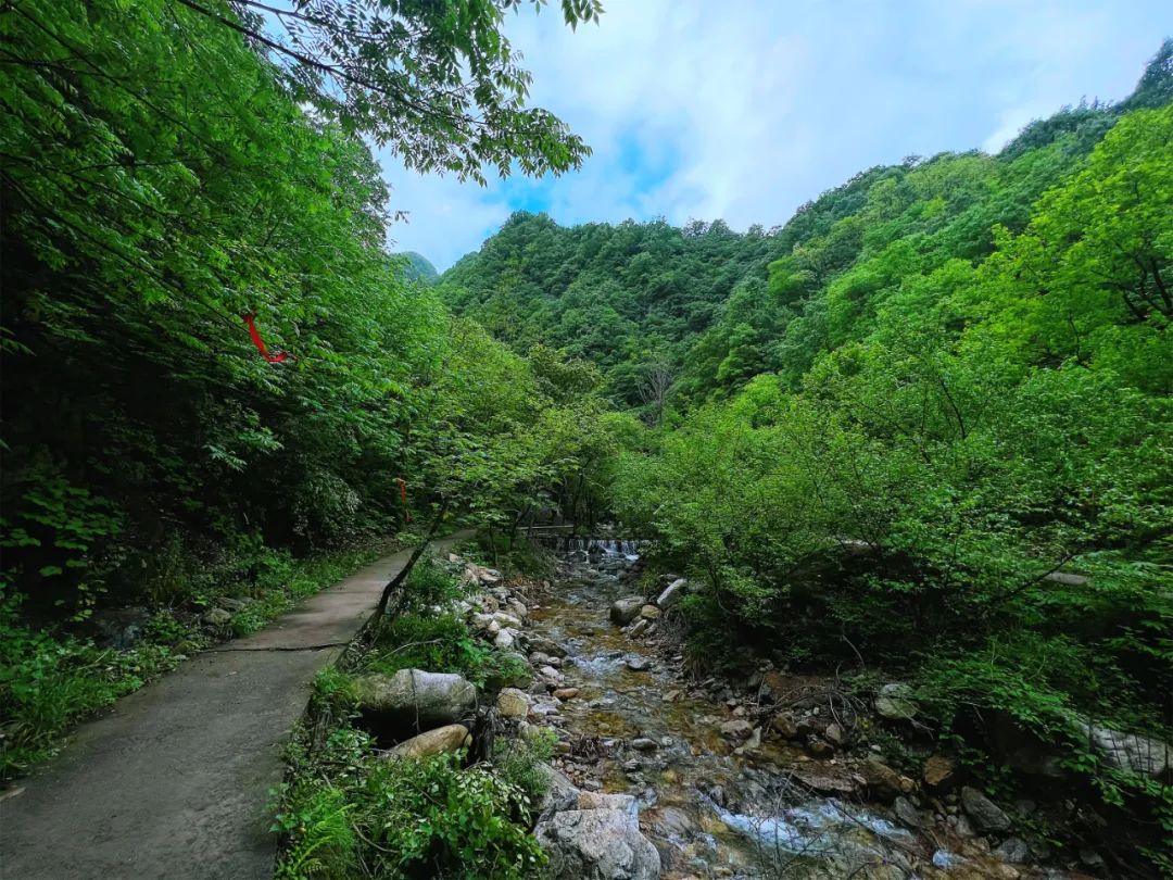 雨后老君山丨山青水碧,简直不要太好看!