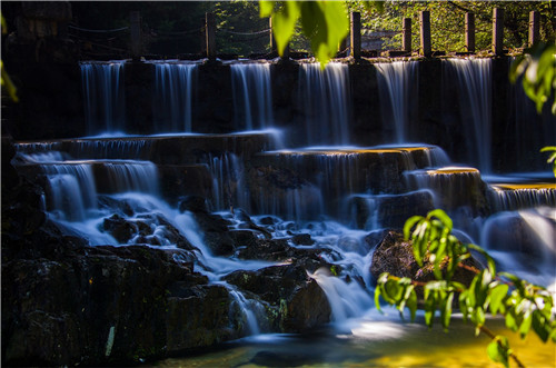 _T2A2515.JPG