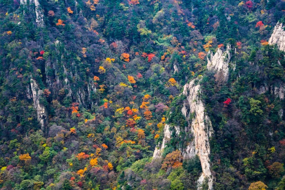 文章附图