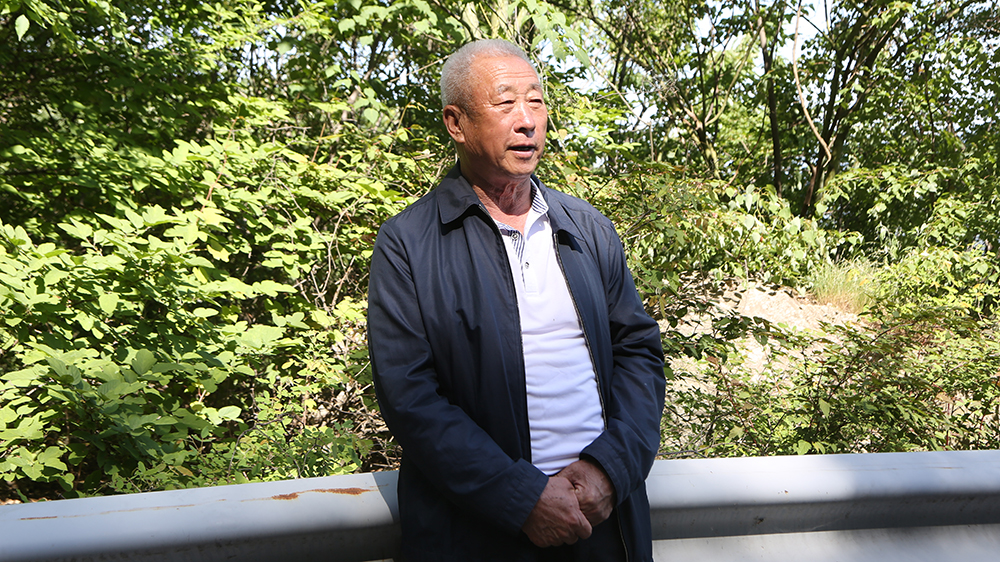 文章附图