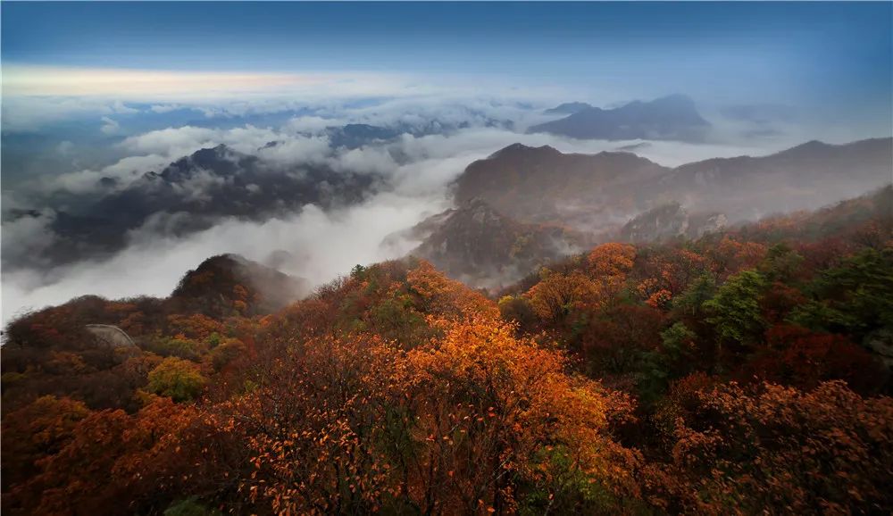 文章附图