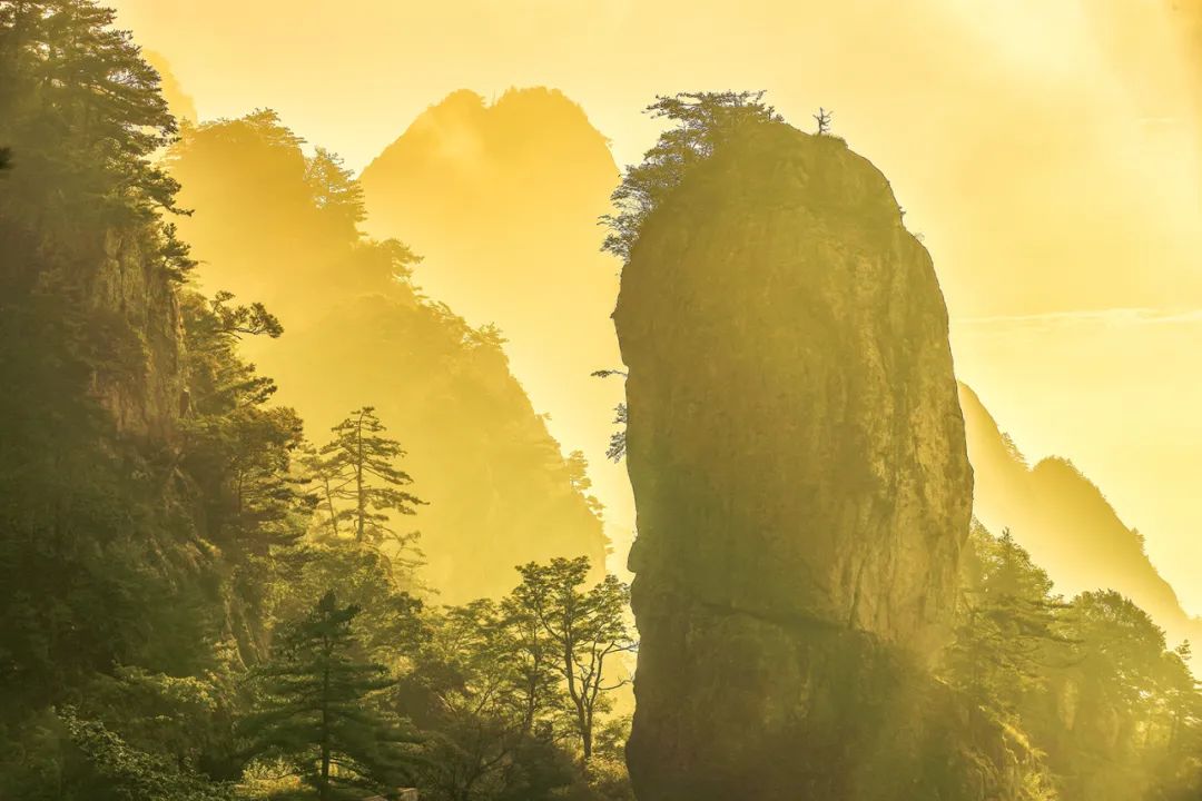 文章附图