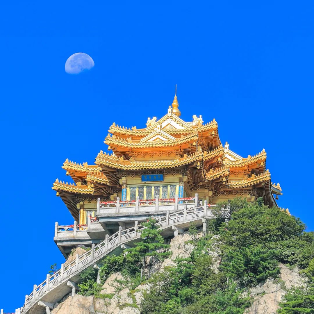 文章附图