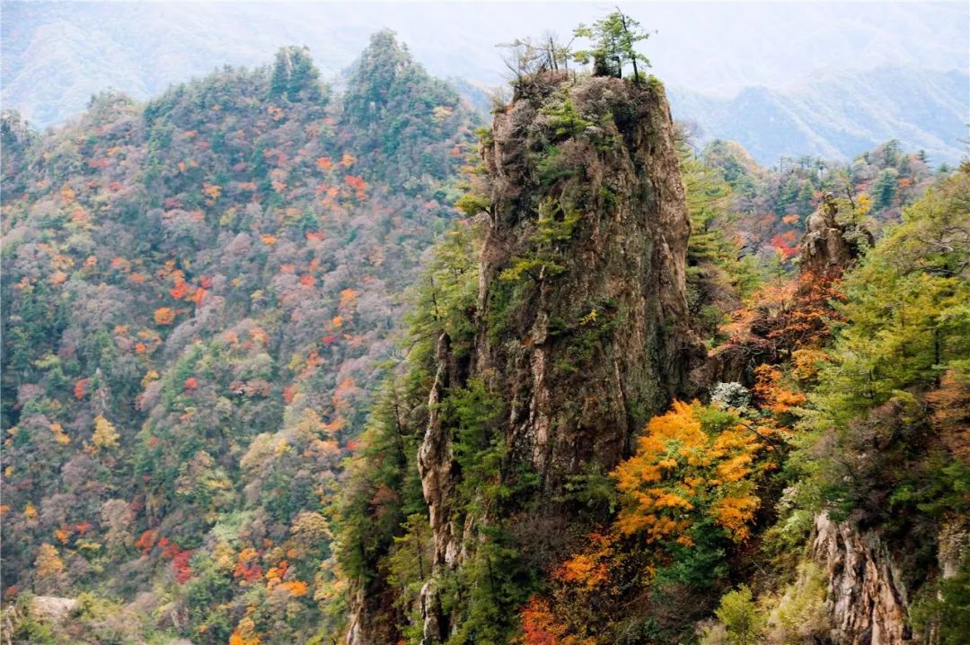 文章附图