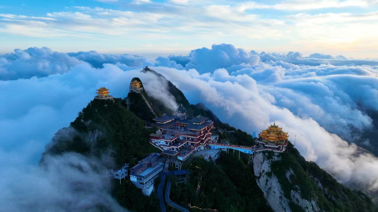 文章附图