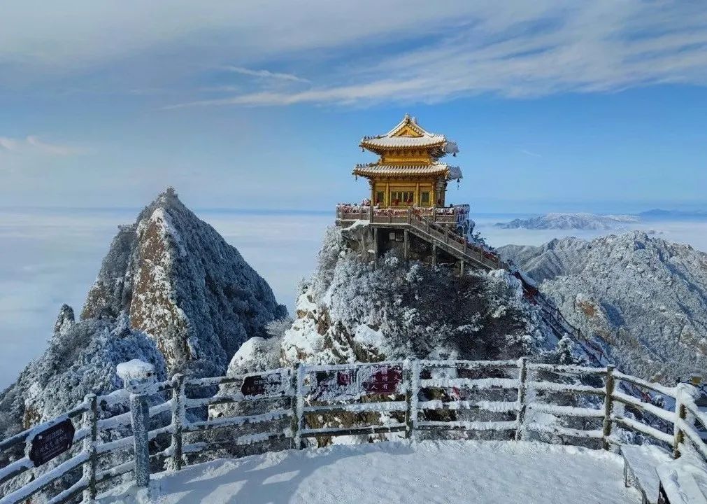 文章附图