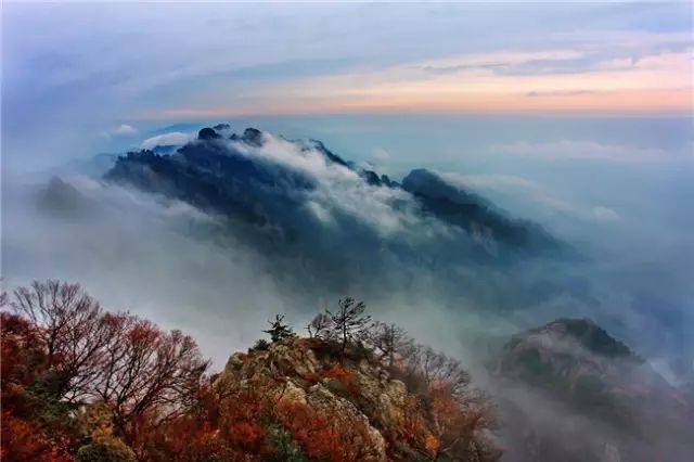 文章附图