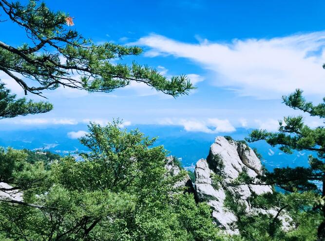 文章附图