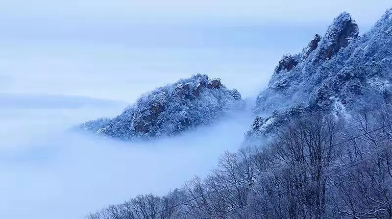 文章附图