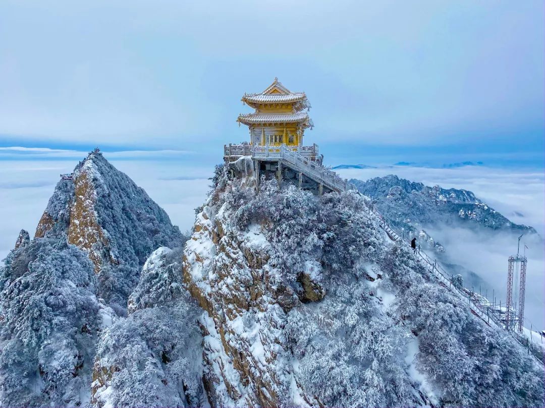 文章附图