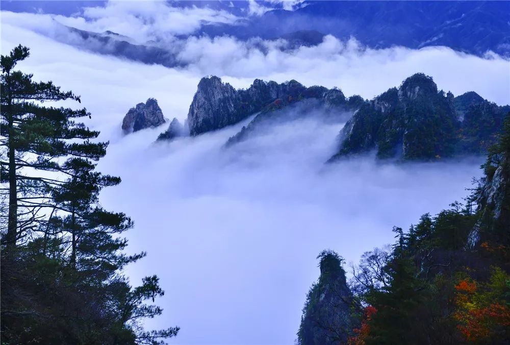 文章附图