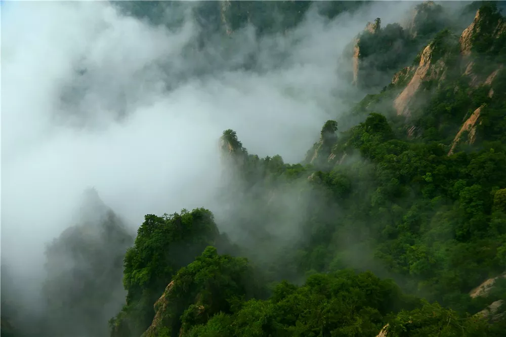 文章附图