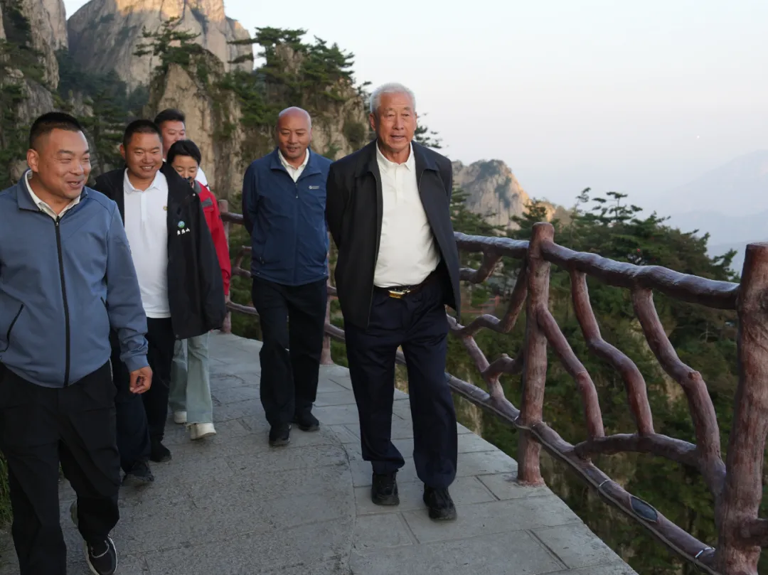 文章附图