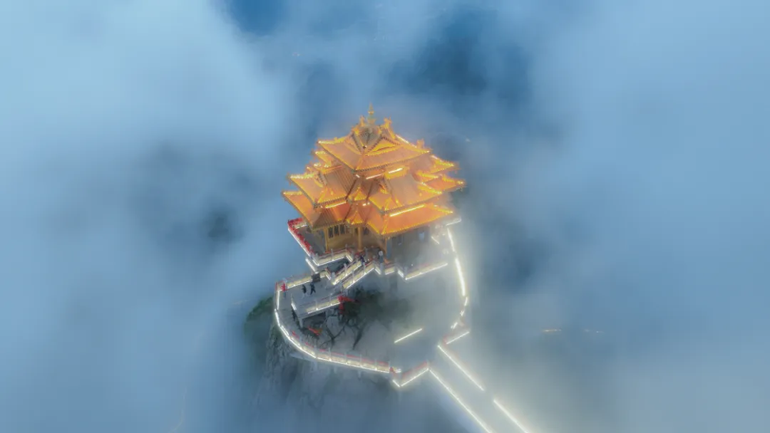 文章附图
