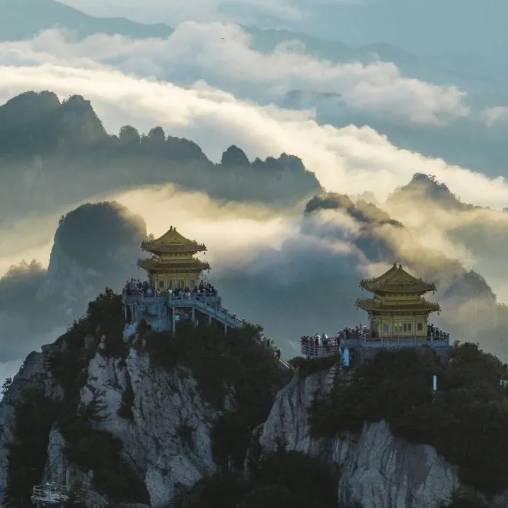 文章附图