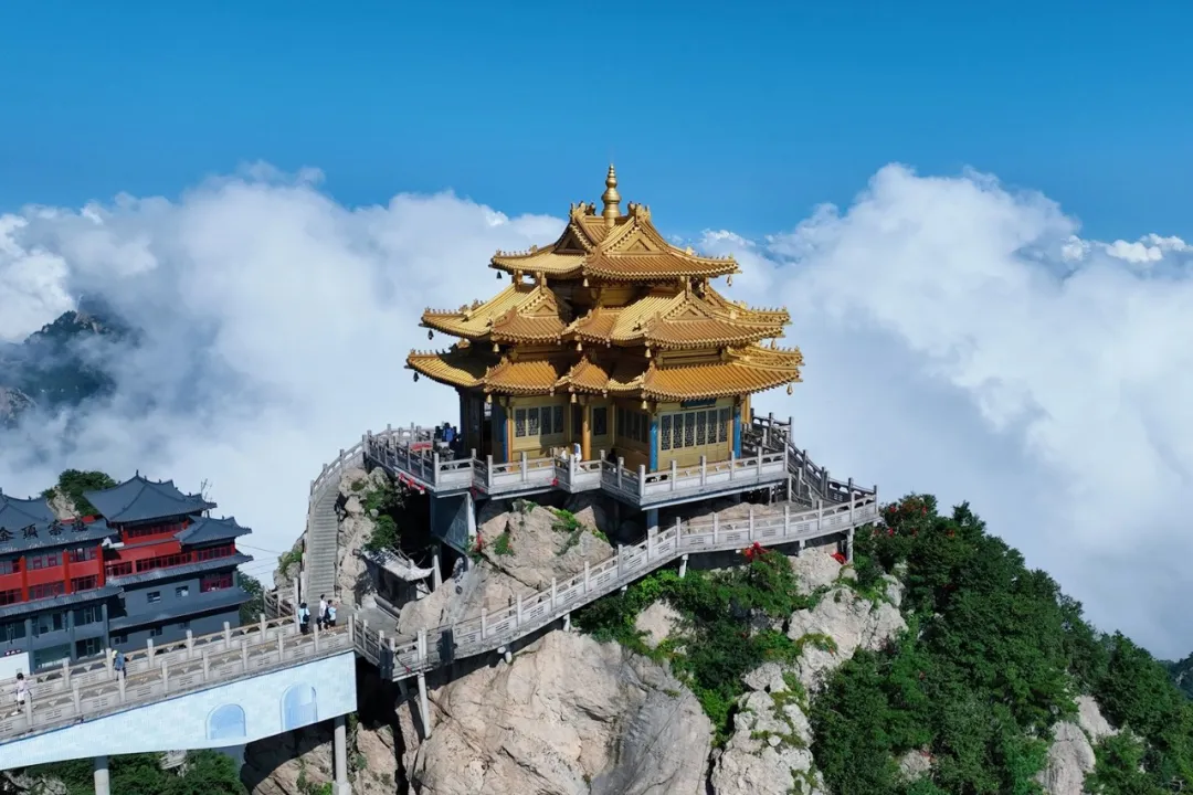 文章附图