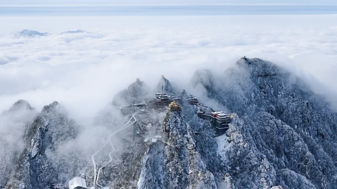文章附图