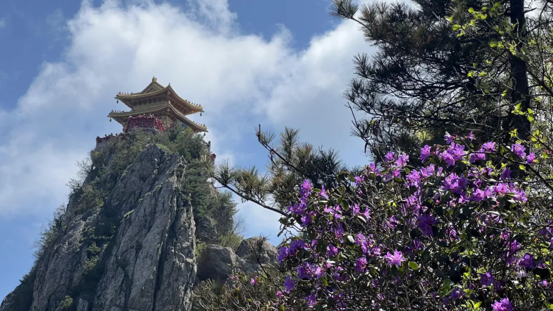 文章附图