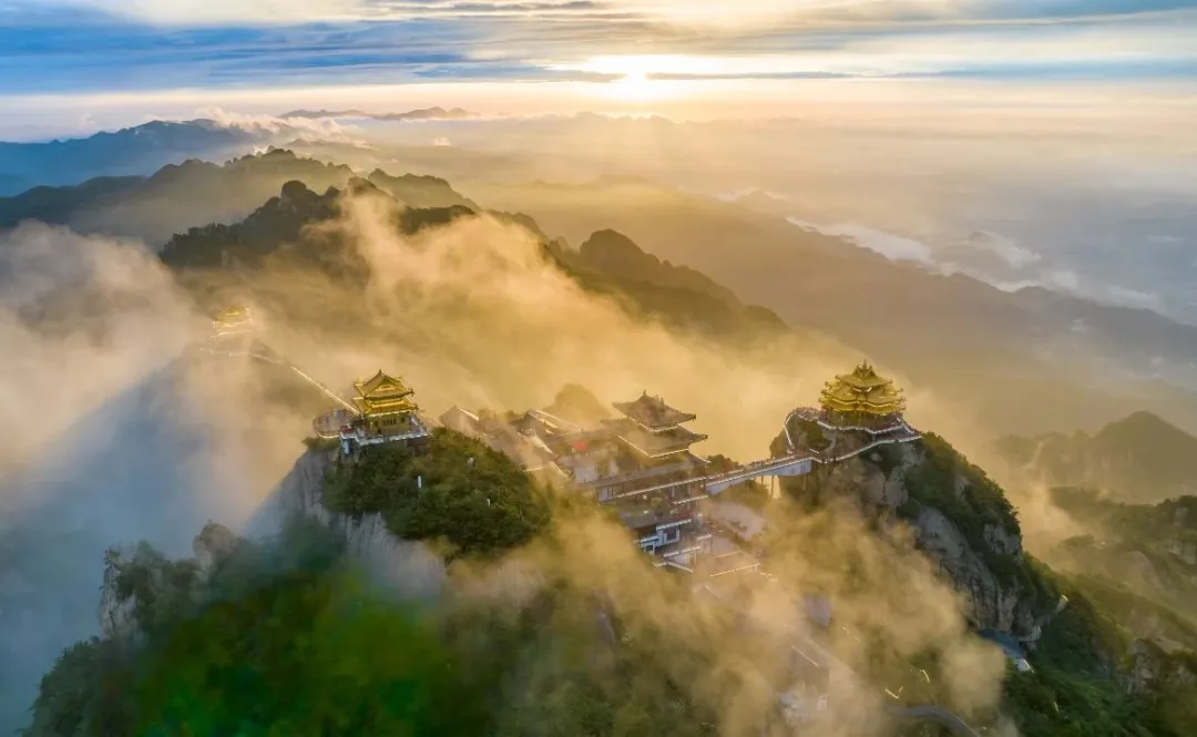 文章附图