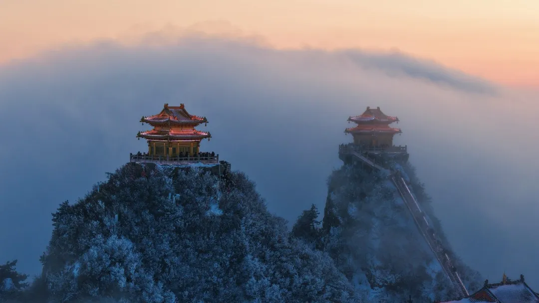 文章附图