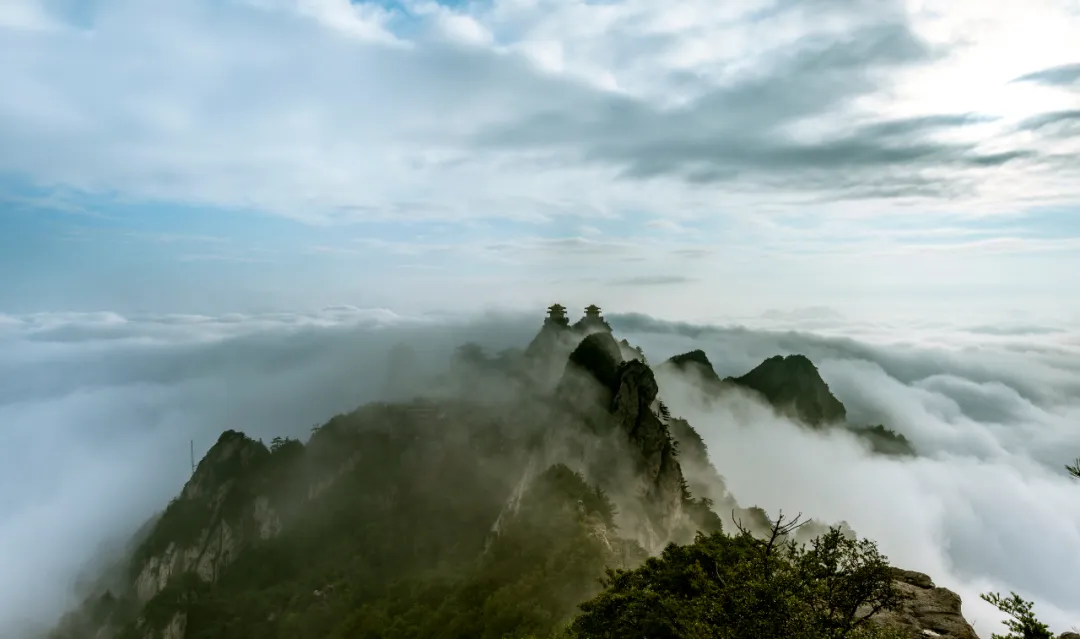 文章附图