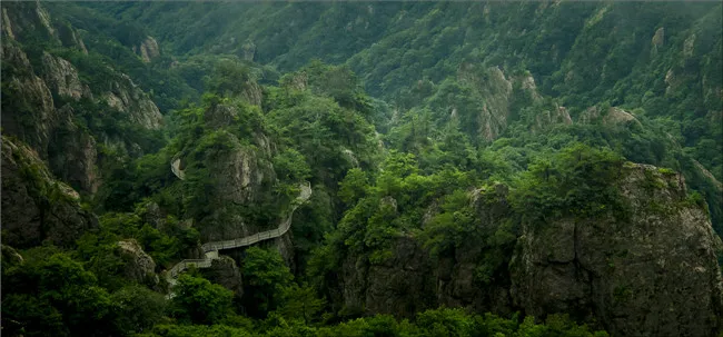 文章附图