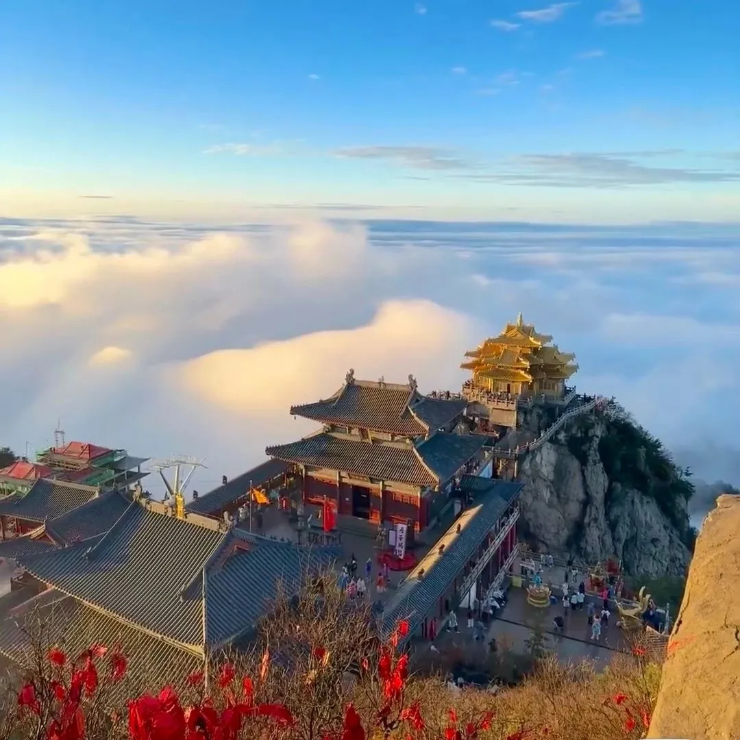 文章附图