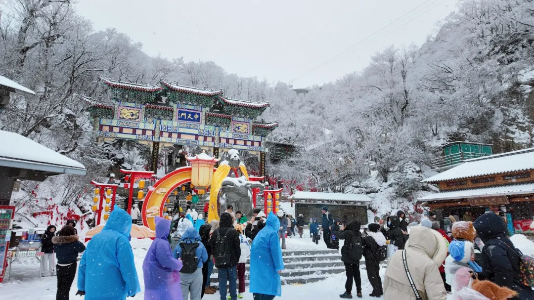 文章附图