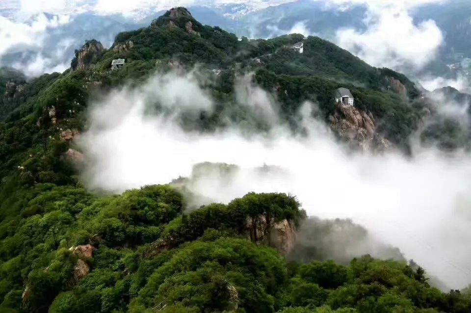 文章附图